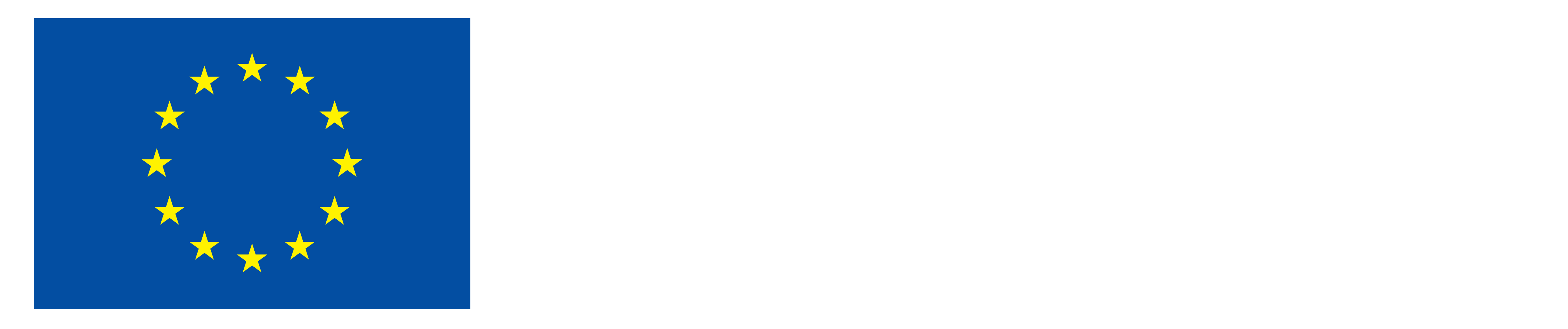 ES-H-Financiado por la UE NEG